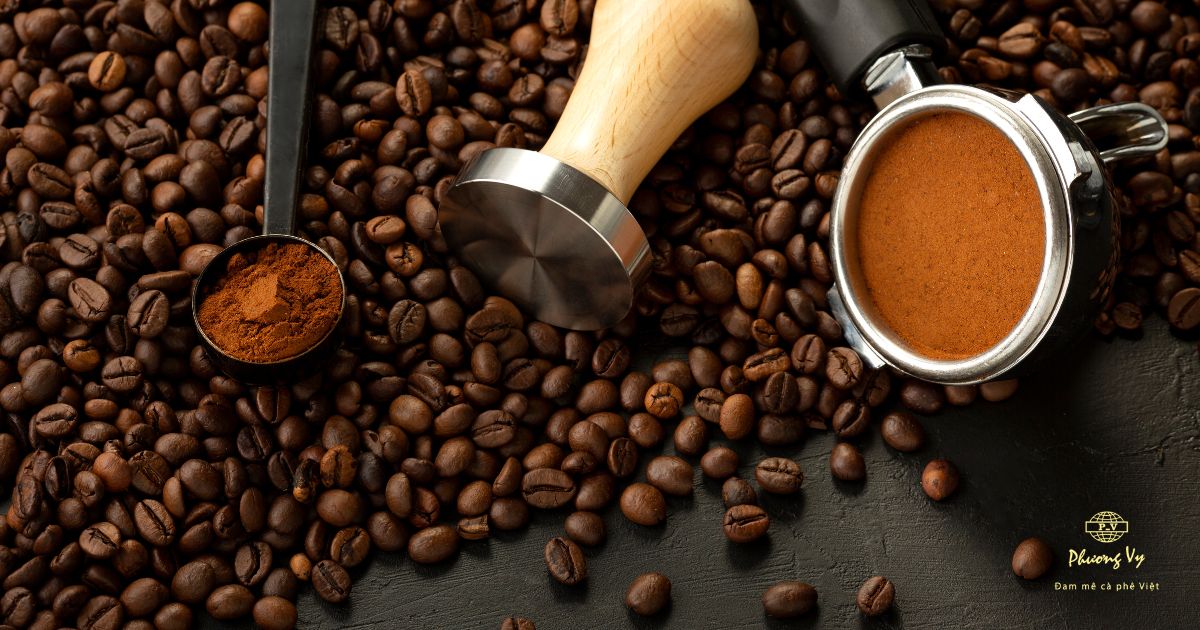 Câu chuyện của Nhà